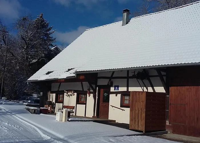 Alsacien Authentique | 6 Pers. | Terrasses & Jardin | Adapte Pmr - Fr-1-744-18 * Bretten