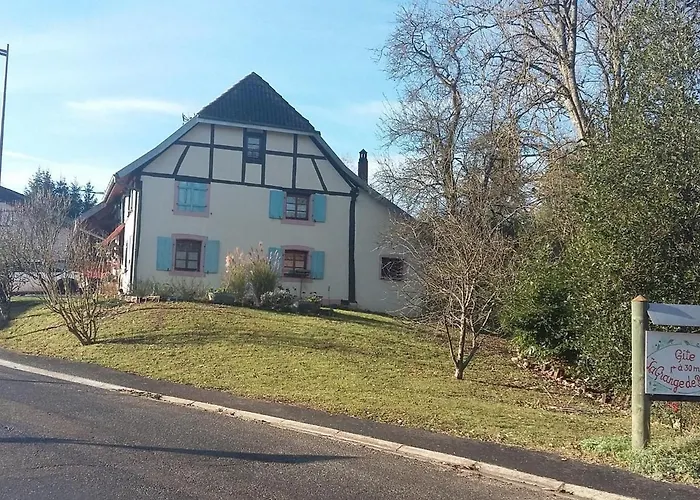 Feriehus Alsacien Authentique | 6 Pers. | Terrasses & Jardin | Adapte Pmr - Fr-1-744-18